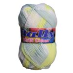 Bally Multi Wool Yarn