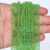 Parrot Green