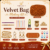Camel Brown Medium